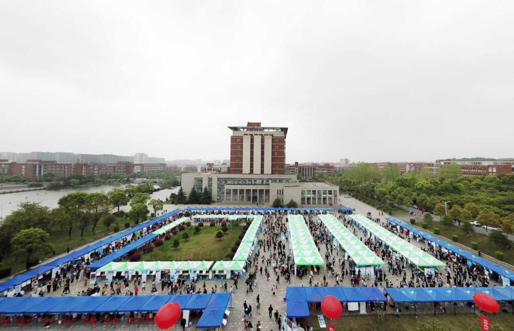 国产a视频免费观看不卡