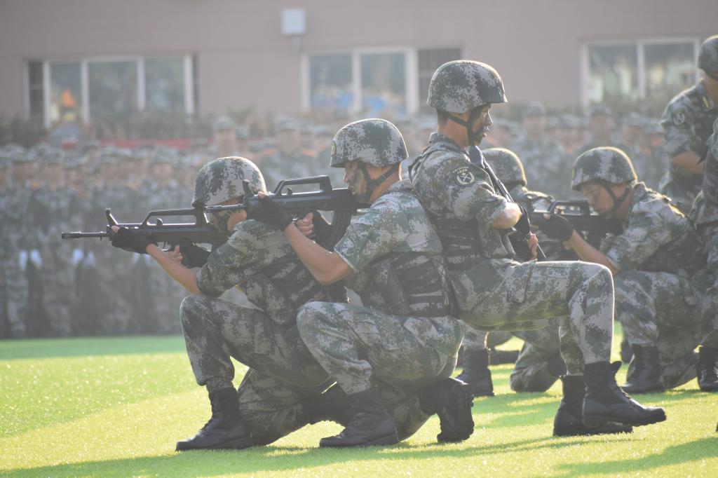 国产a视频免费观看不卡