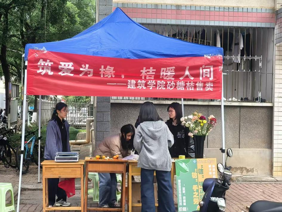 国产a视频免费观看不卡