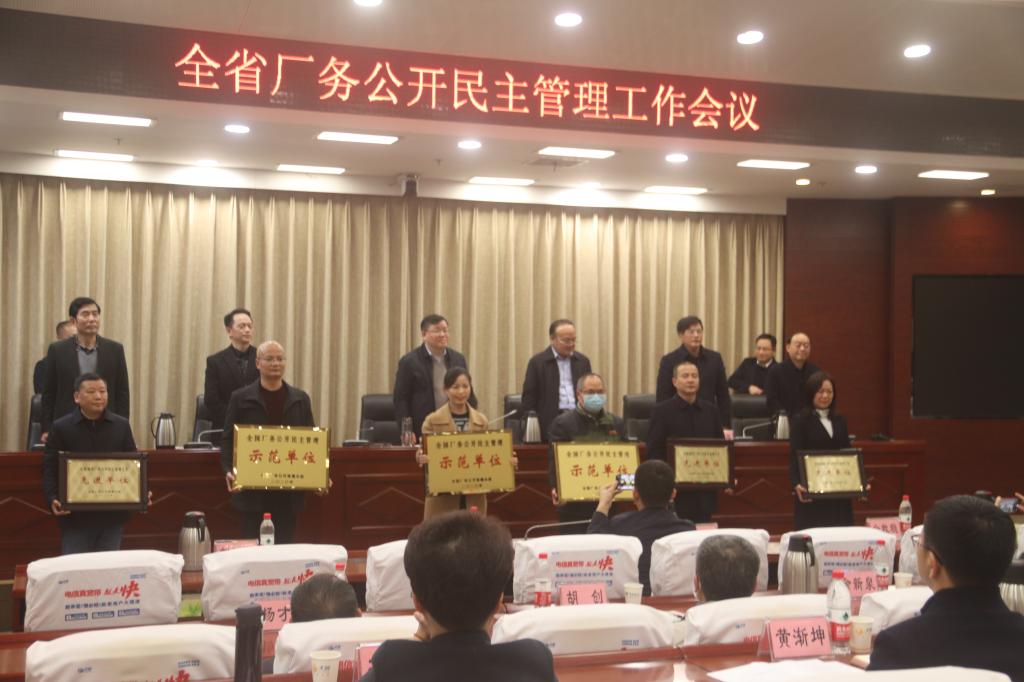 国产a视频免费观看不卡