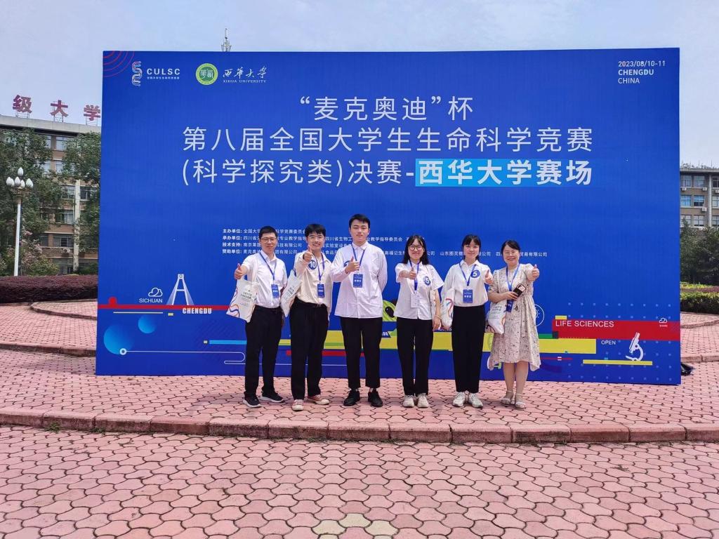 国产a视频免费观看不卡