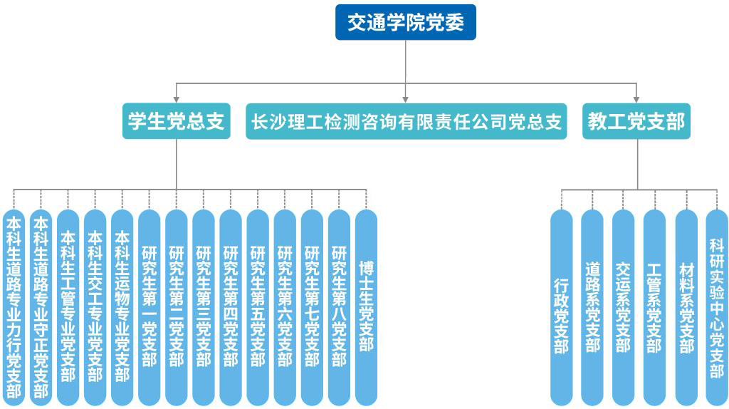 国产a视频免费观看不卡