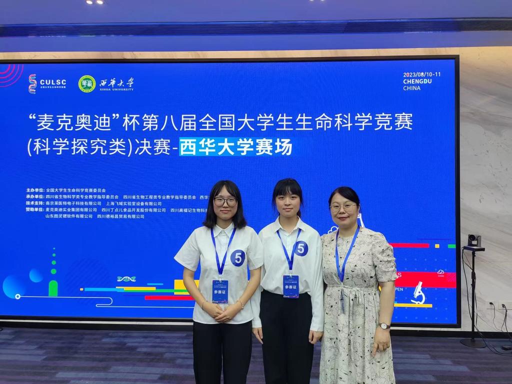 国产a视频免费观看不卡