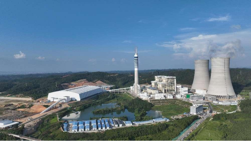 image 国产a视频免费观看不卡