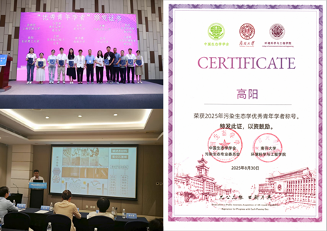 国产a视频免费观看不卡