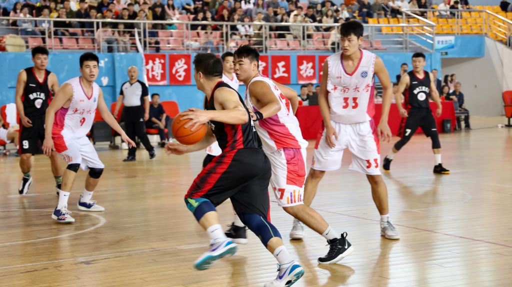 国产a视频免费观看不卡