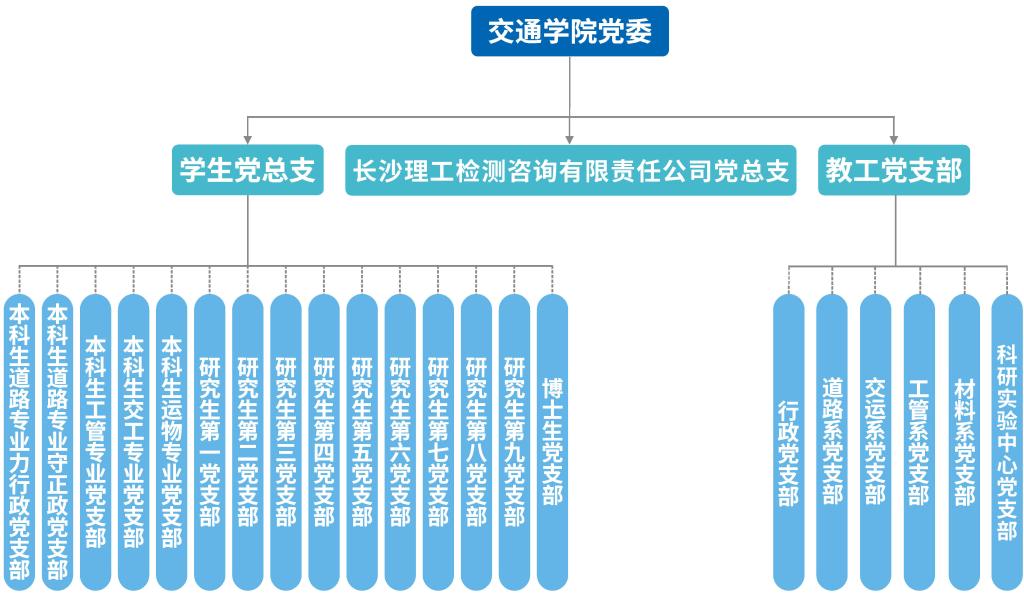 国产a视频免费观看不卡