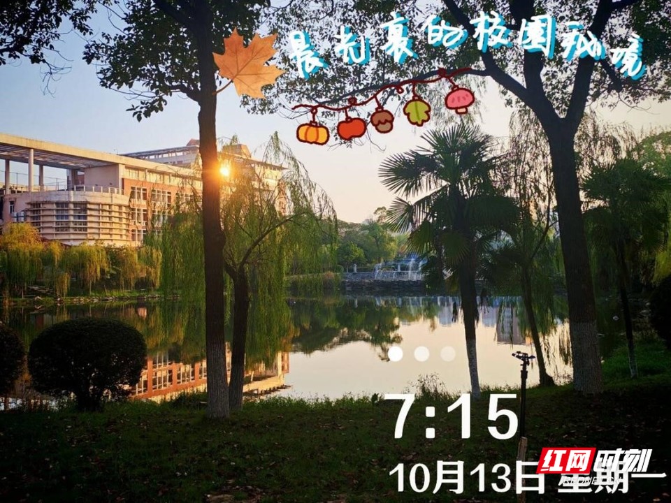 国产a视频免费观看不卡