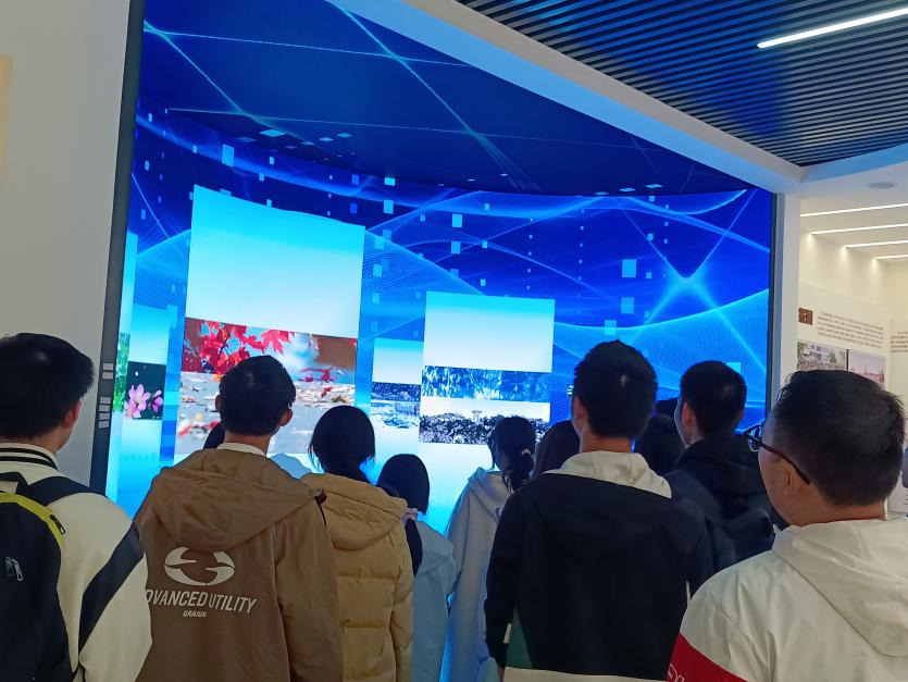 国产a视频免费观看不卡