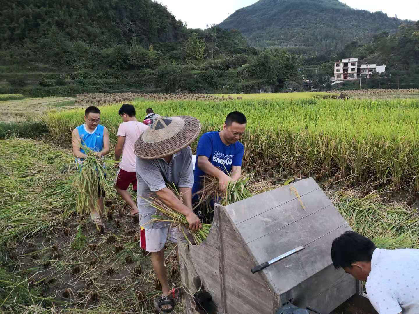国产a视频免费观看不卡