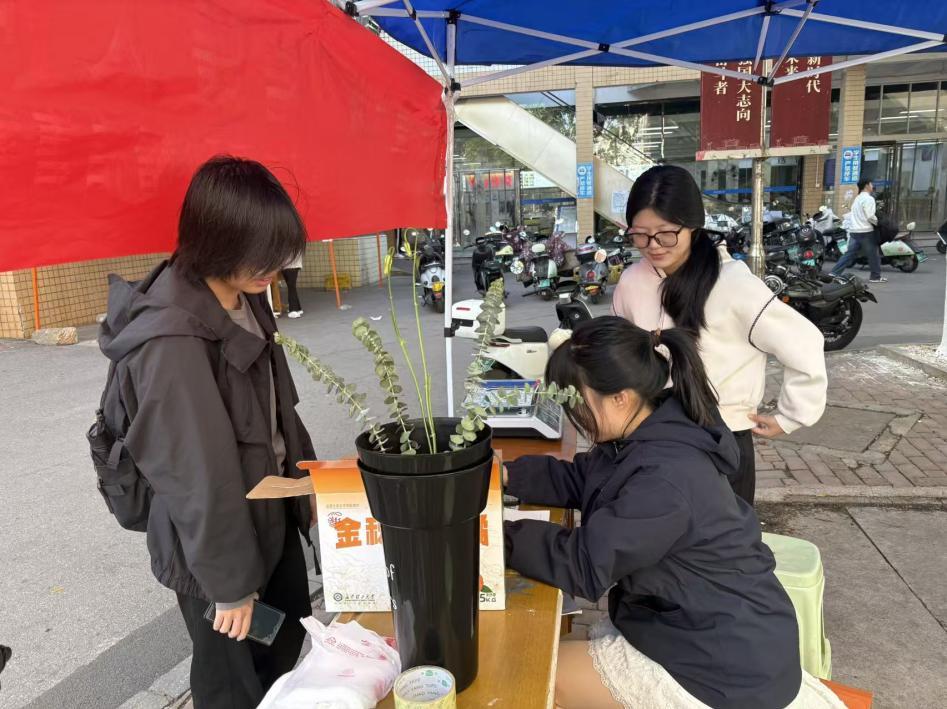 国产a视频免费观看不卡