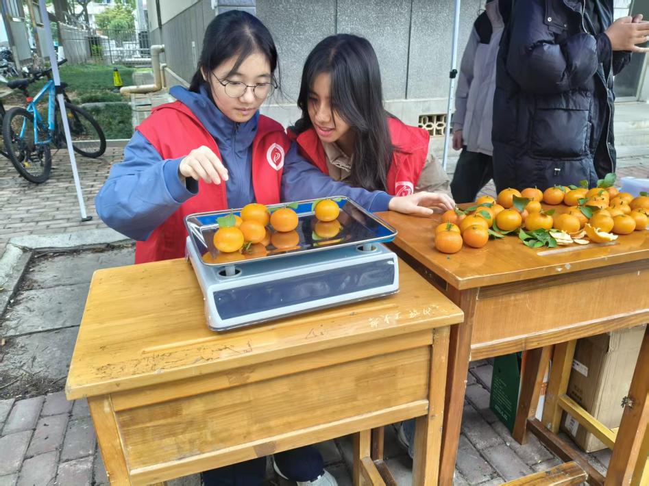 国产a视频免费观看不卡