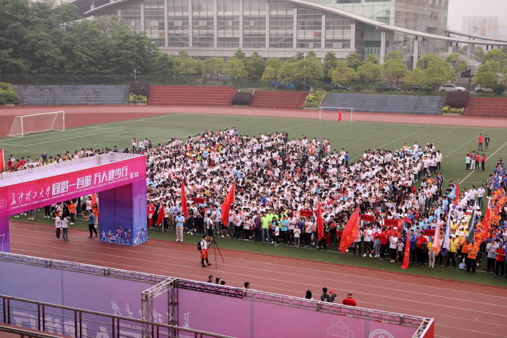 国产a视频免费观看不卡