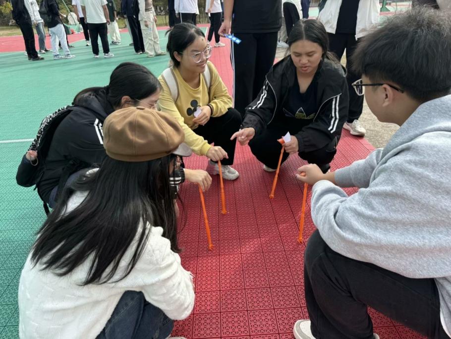 国产a视频免费观看不卡