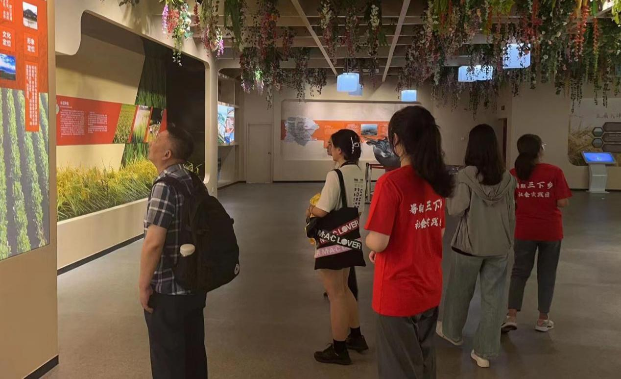 国产a视频免费观看不卡