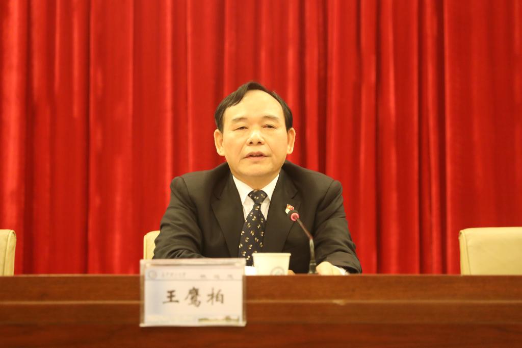 国产a视频免费观看不卡