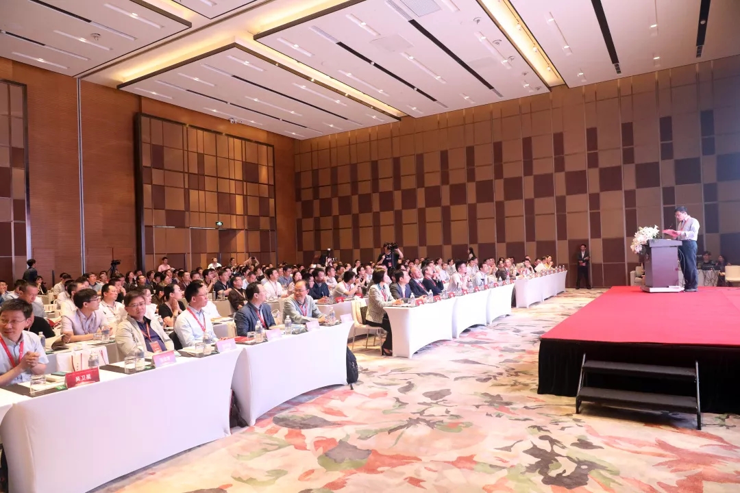 国产a视频免费观看不卡