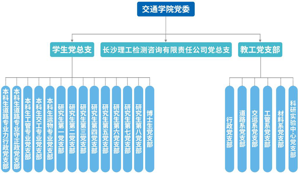 国产a视频免费观看不卡