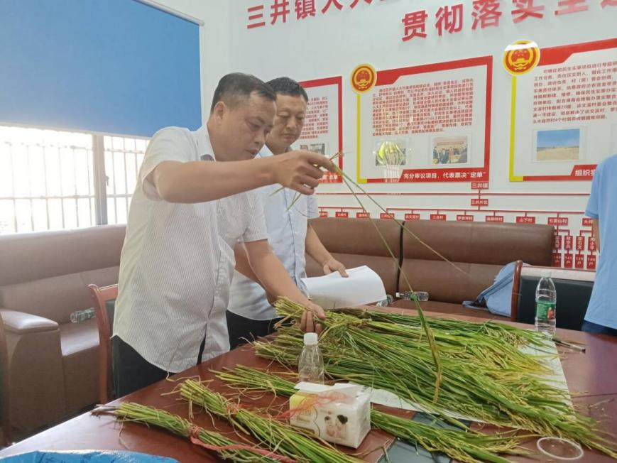 国产a视频免费观看不卡