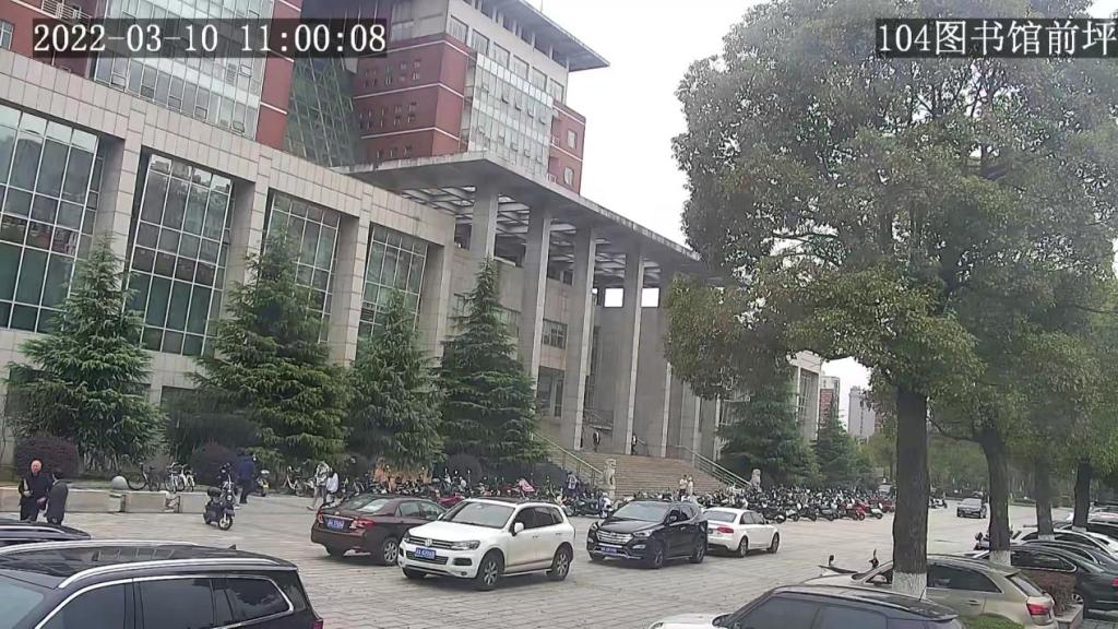 国产a视频免费观看不卡