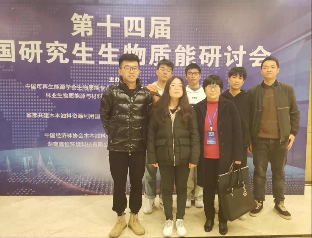 国产a视频免费观看不卡