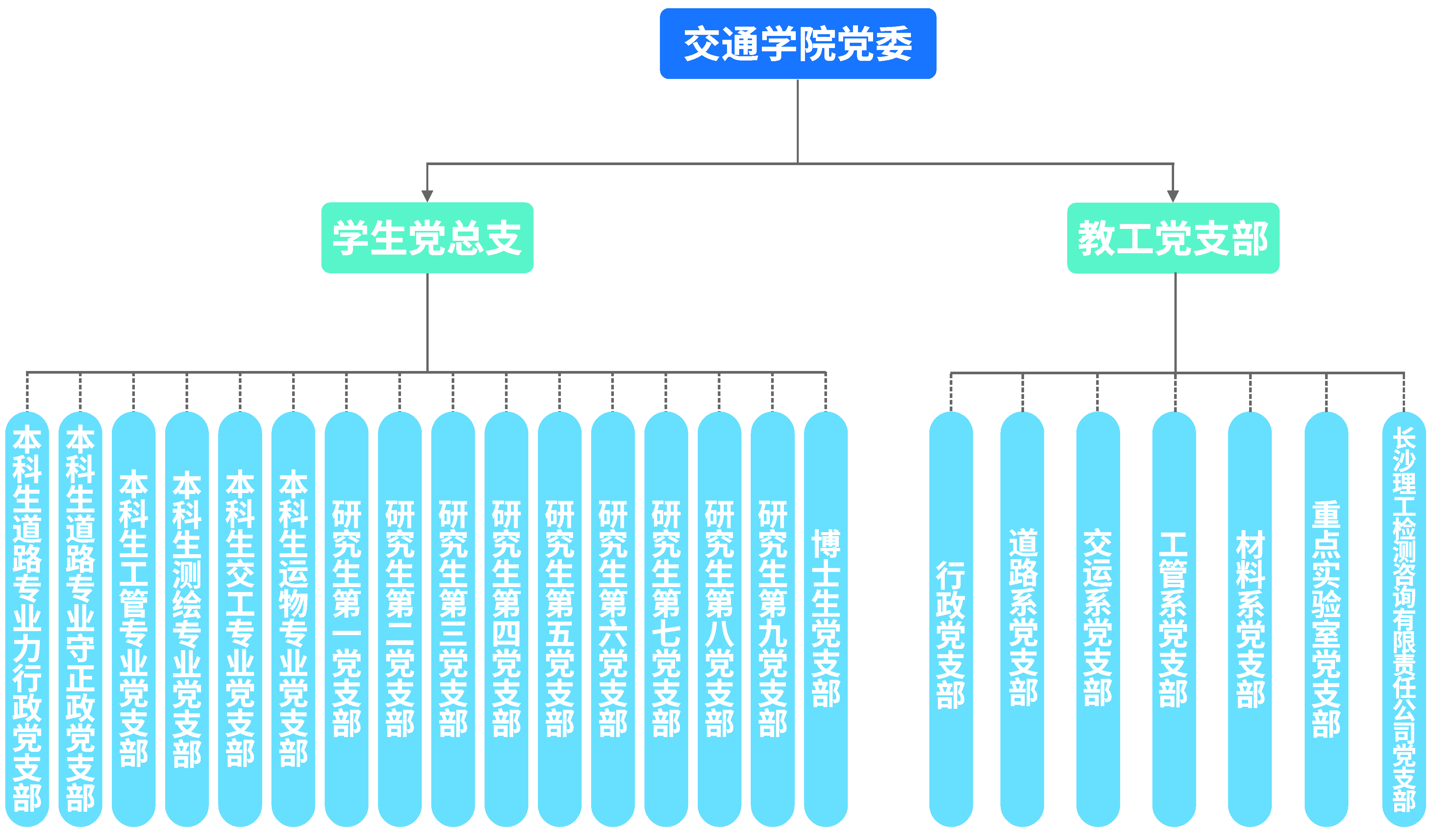 国产a视频免费观看不卡