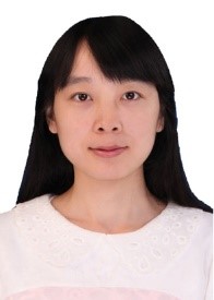 国产a视频免费观看不卡