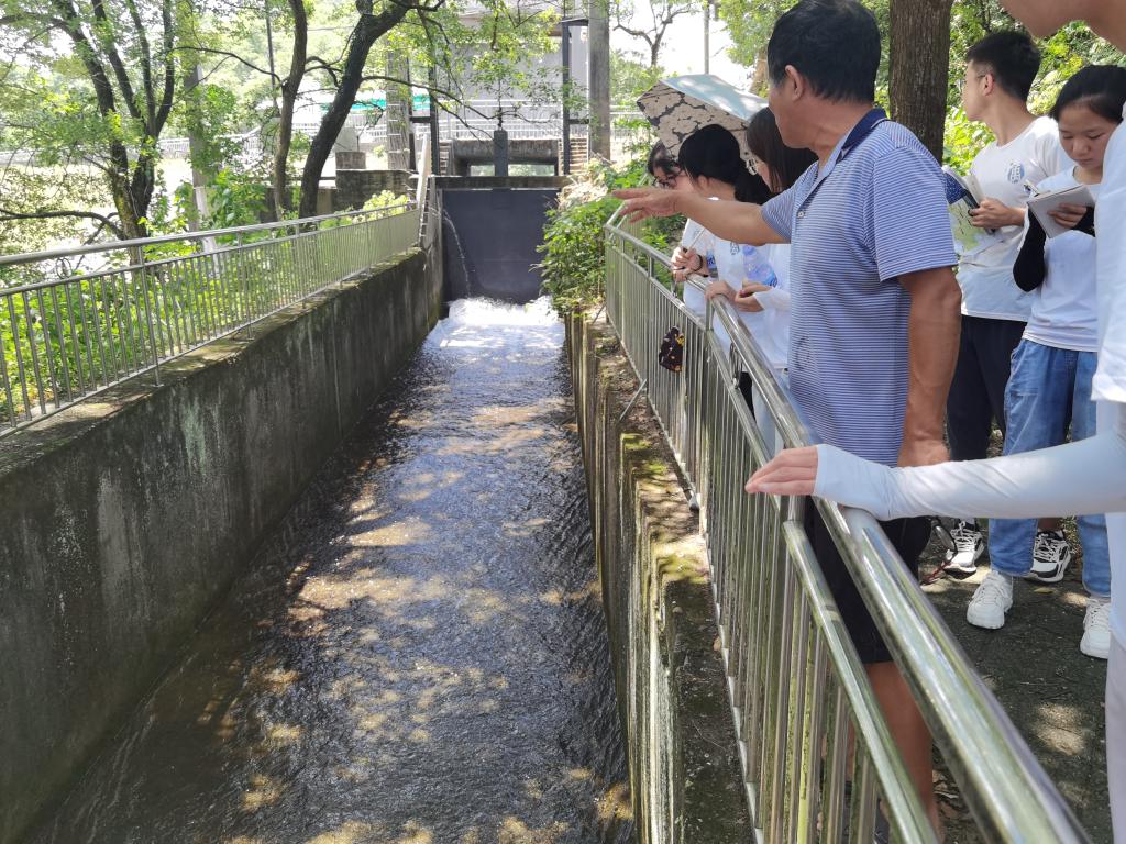 国产a视频免费观看不卡