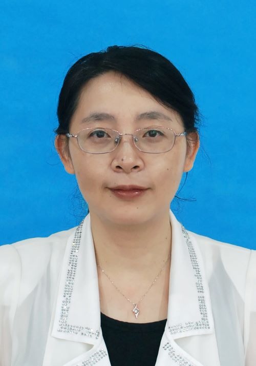 国产a视频免费观看不卡