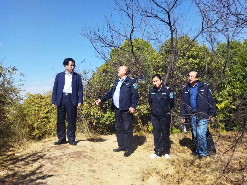 国产a视频免费观看不卡