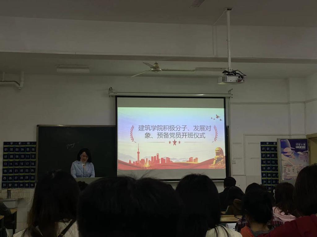 国产a视频免费观看不卡