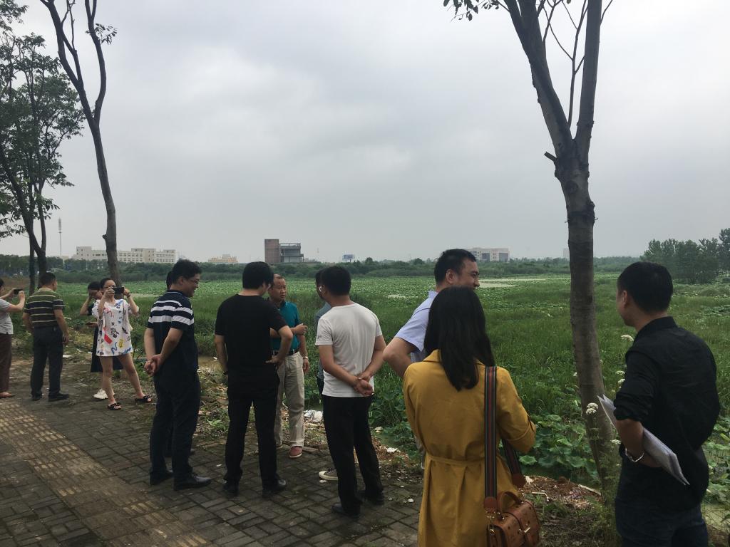国产a视频免费观看不卡