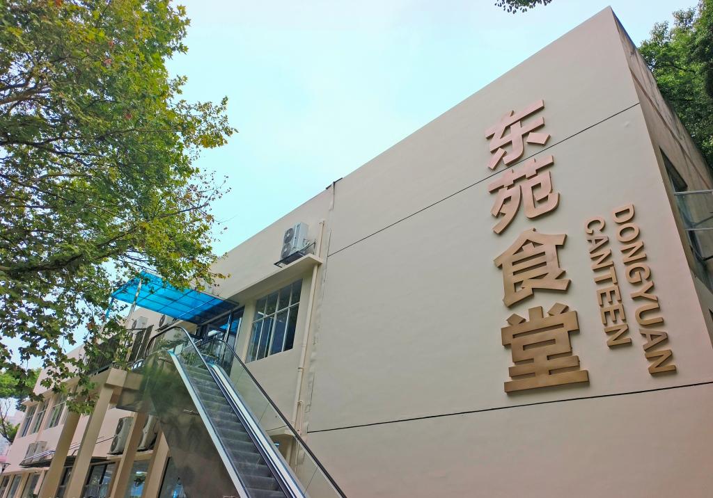 国产a视频免费观看不卡