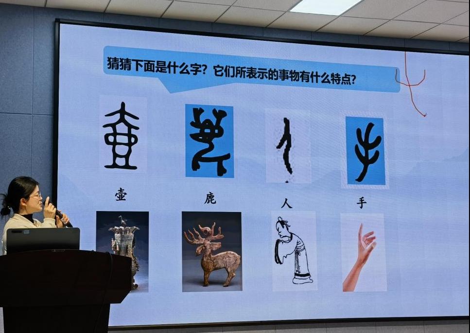 国产a视频免费观看不卡