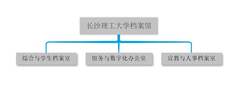 国产a视频免费观看不卡