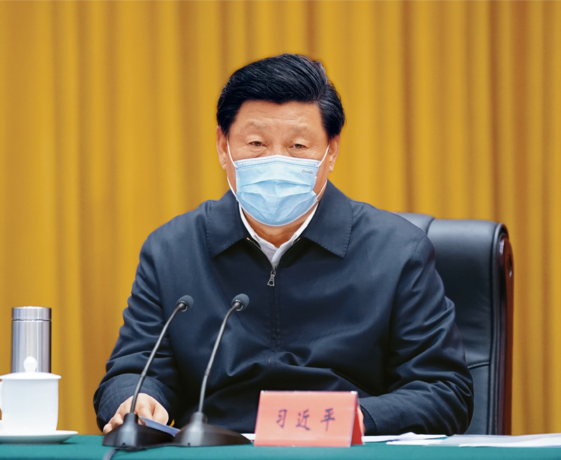 国产a视频免费观看不卡