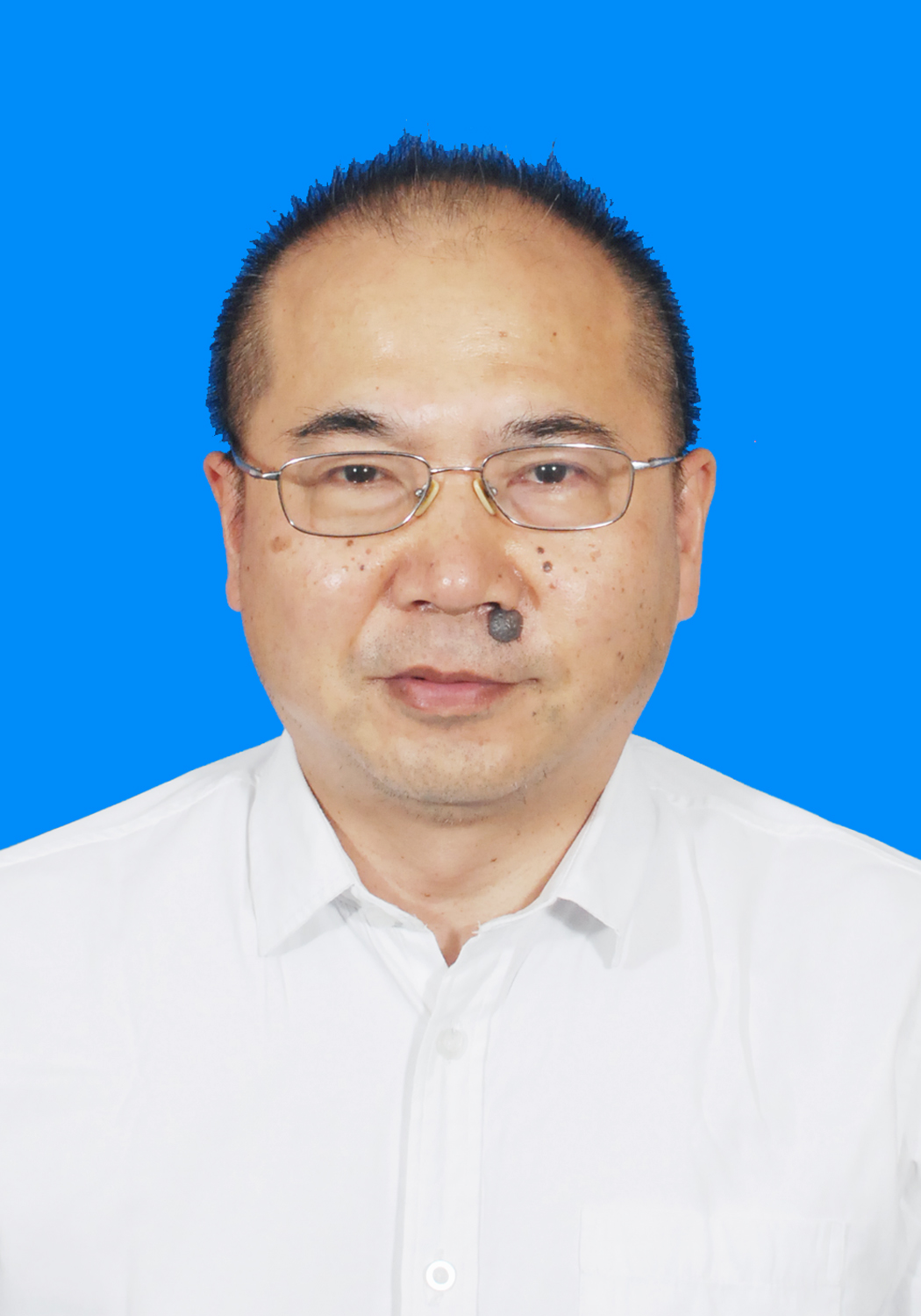 国产a视频免费观看不卡