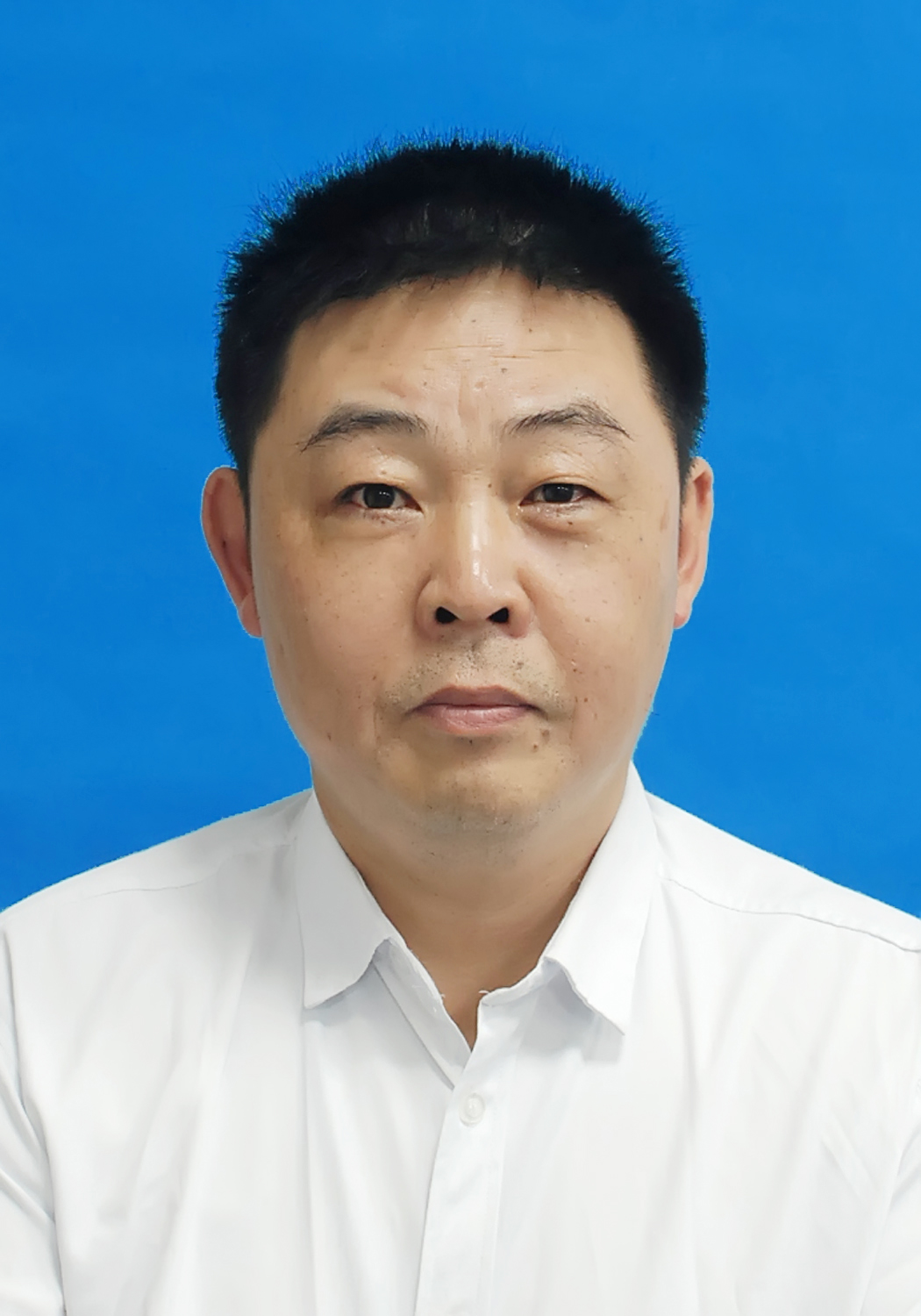 国产a视频免费观看不卡