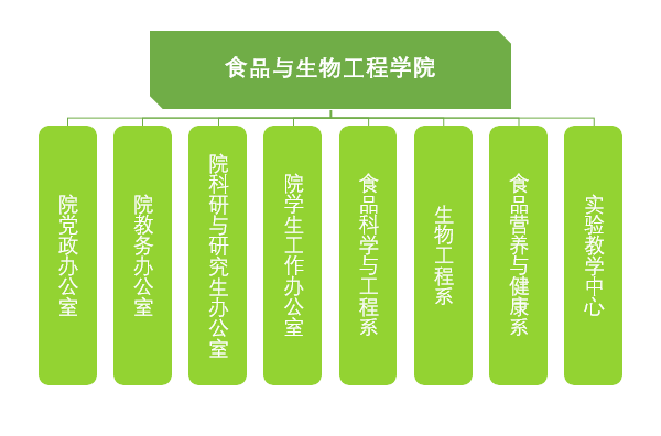 国产a视频免费观看不卡