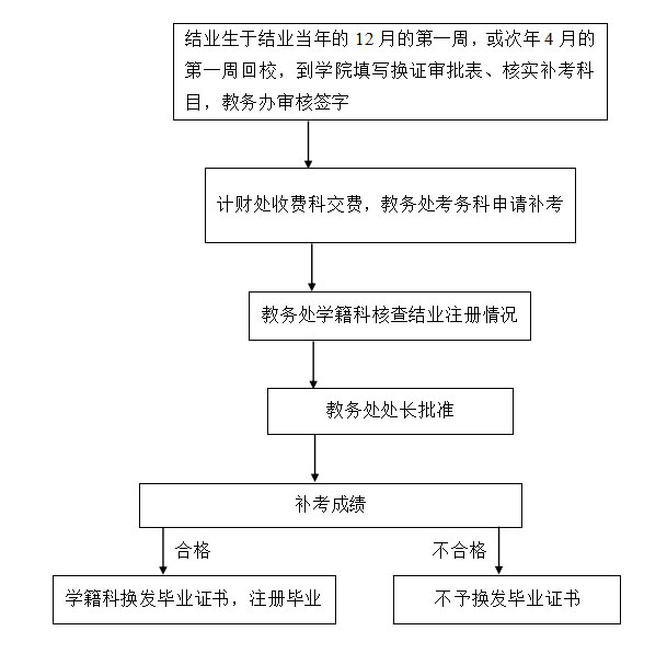 国产a视频免费观看不卡