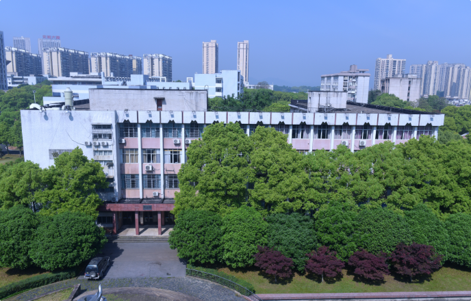 国产a视频免费观看不卡