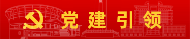 国产a视频免费观看不卡
